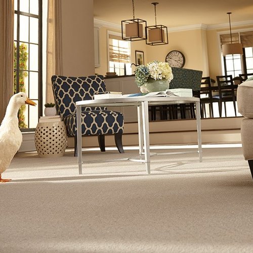 Carpet trends in Cedar City, UT from Pioneer Floor Coverings & Design