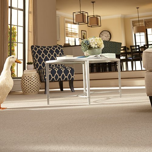 Carpeting in Ivins, UT from Pioneer Floor Coverings & Design